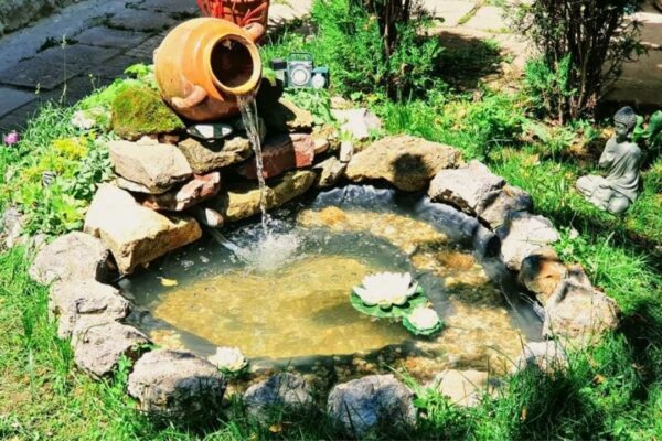 Finished Easy & Inexpensive Small DIY Garden Pond, a completed DIY project