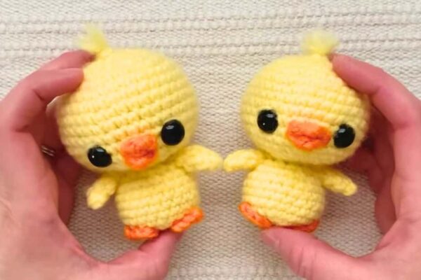How to Crochet a Baby Chicken, homemade and freshly served