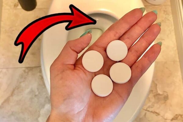 Finished 7 Stinky Bathroom Solutions That Everyone Should Know, a completed DIY project