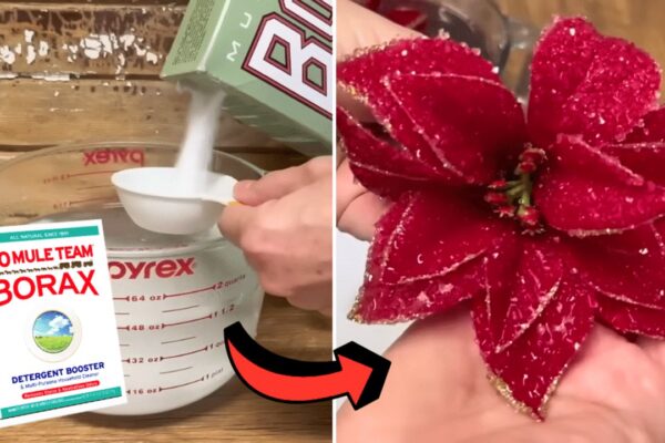 Finished Easy Borax Christmas Ornament Hack, a completed DIY project