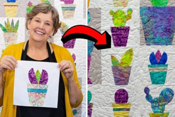 Finished Easy Jenny Doan’s Cactus Carnival Quilt, a completed DIY project