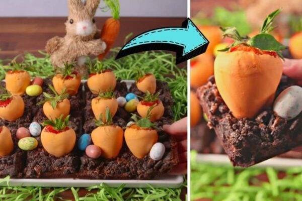 Easy Carrot Patch Brownies, homemade and freshly served