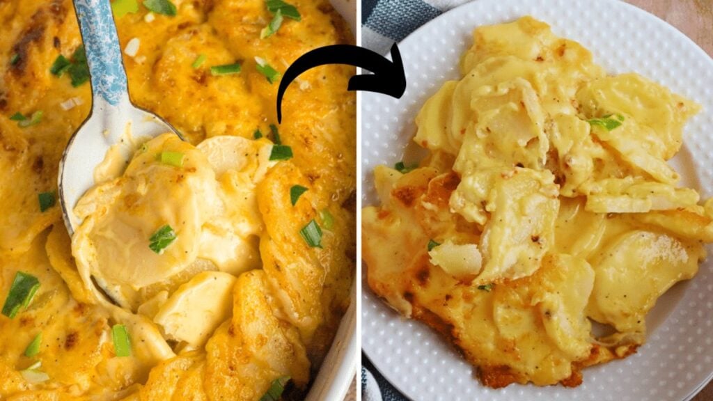 Easy Cheesy Scalloped Potatoes, homemade and freshly served