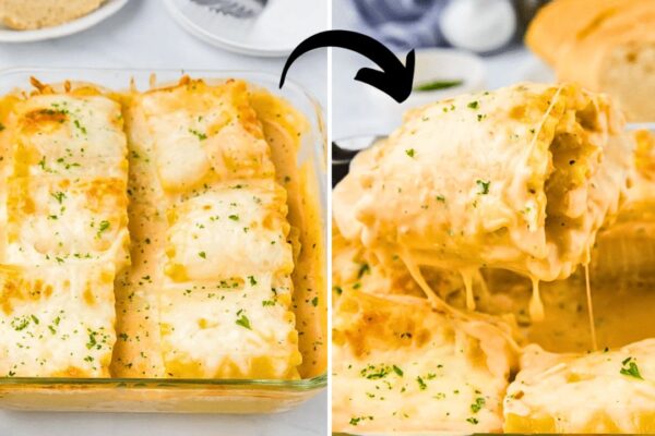 Easy Chicken Alfredo Lasagna Roll-Ups, homemade and freshly served