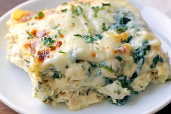 Easy Chicken Lasagna With Creamy White Sauce, homemade and freshly served