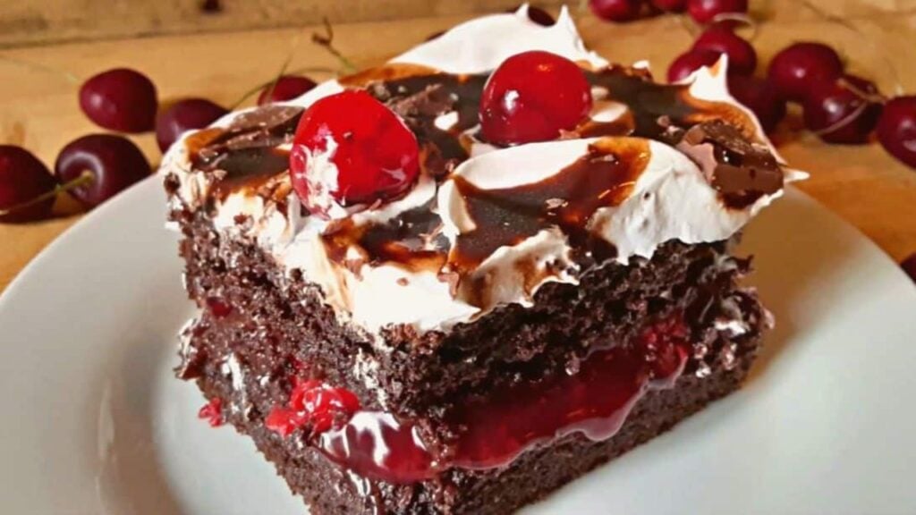 Easy-To-Make Luscious Chocolate And Cherry Cake, homemade and freshly served