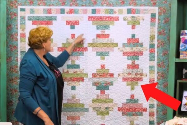 Finished Easy Courthouse Steps Quilt, a completed DIY project
