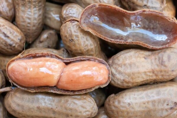 Southern Crockpot Boiled Peanuts, homemade and freshly served