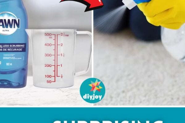 Finished 10 Surprising Uses of Dawn Dish Soap, a completed DIY project