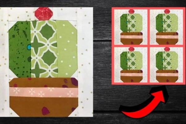 Finished How to Sew a Desert Cactus Quilt Block, a completed DIY project
