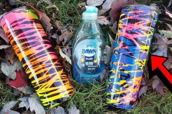 Finished How to Paint Tumbler with Dish Soap, a completed DIY project