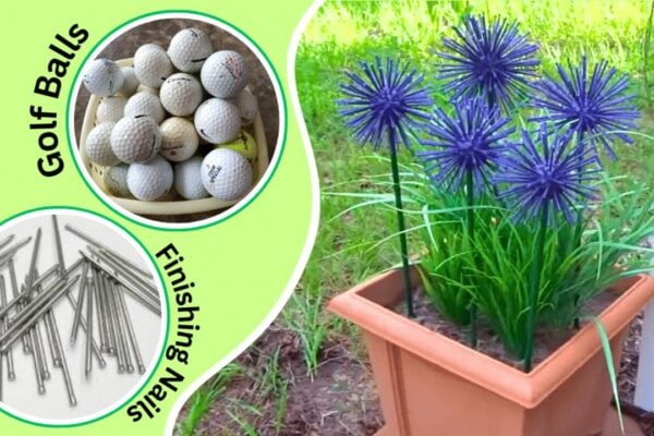Allium Flowers Using Golf Balls and Nails, homemade and freshly served