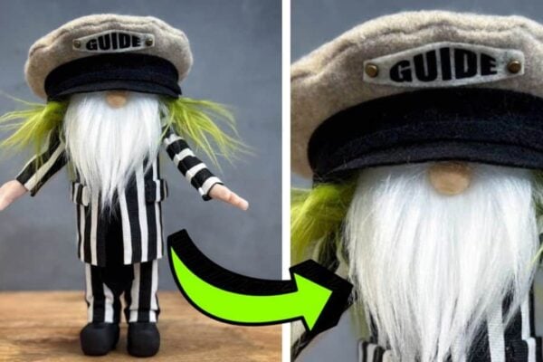 Finished a DIY Beetlejuice Gnome, a completed DIY project