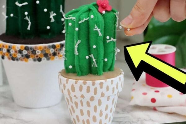 Finished Easy DIY Cactus Pincushion, a completed DIY project