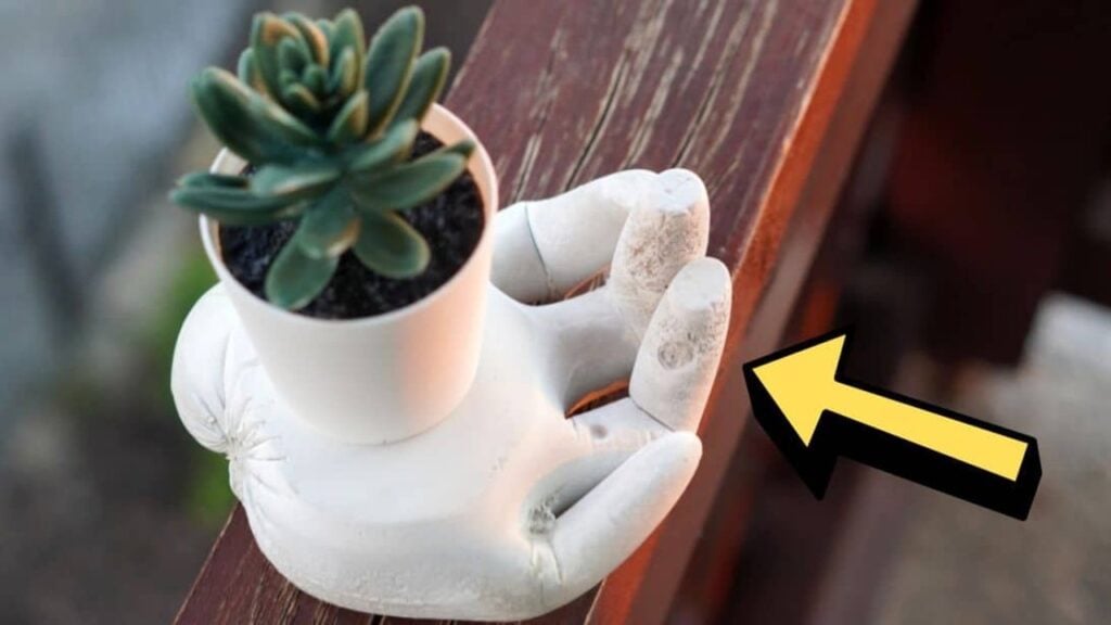 Finished a DIY Cement Hand Planter, a completed DIY project