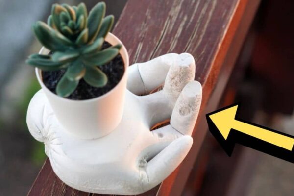 Finished a DIY Cement Hand Planter, a completed DIY project