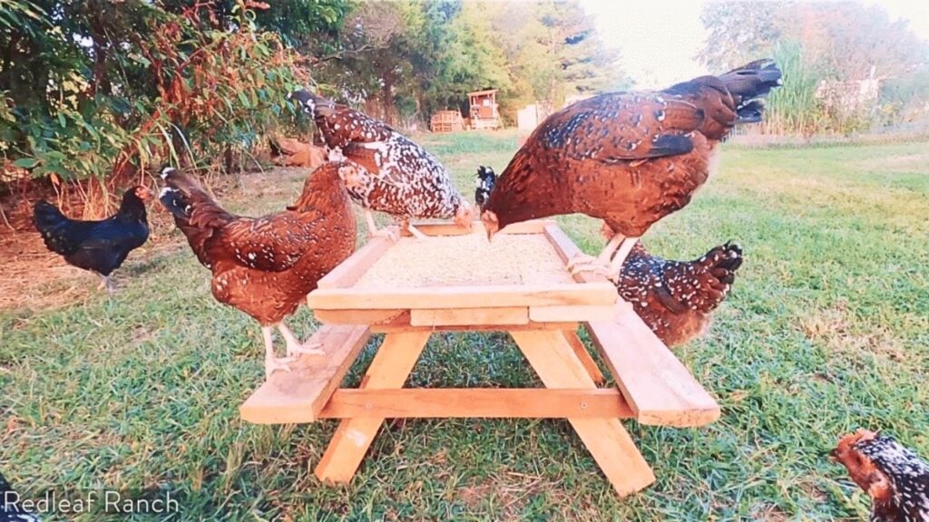 Finished How to Build a Simple Chicknic Table, a completed DIY project