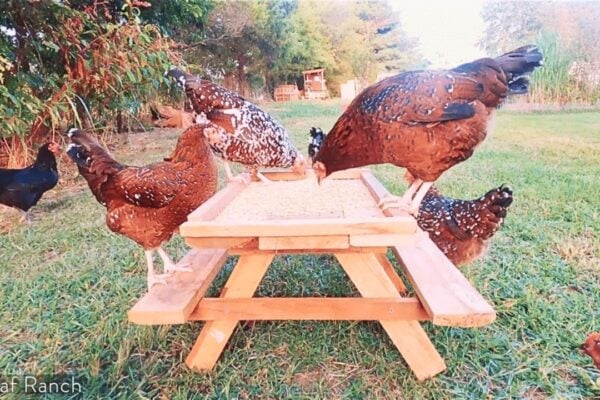 Finished How to Build a Simple Chicknic Table, a completed DIY project