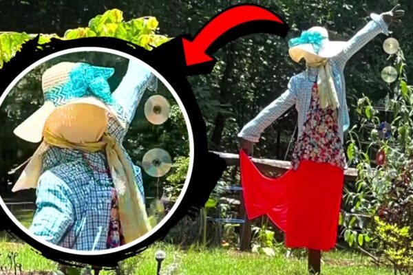 Finished a DIY Dancing Scarecrow Girl, a completed DIY project