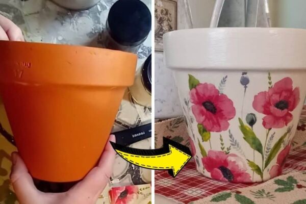 Finished How to Decoupage a Terracotta Pot From Scratch, a completed DIY project