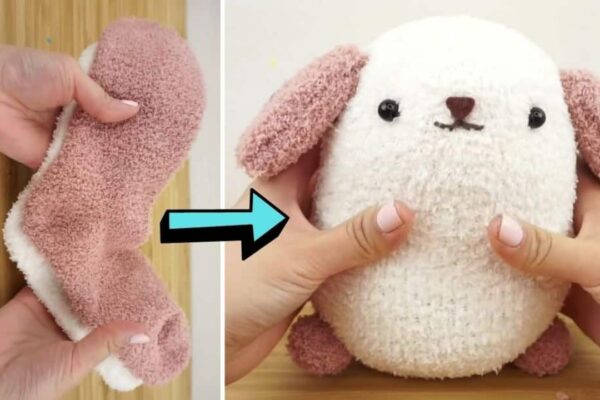 Finished A DIY Dog Plushie Using Old Socks, a completed DIY project