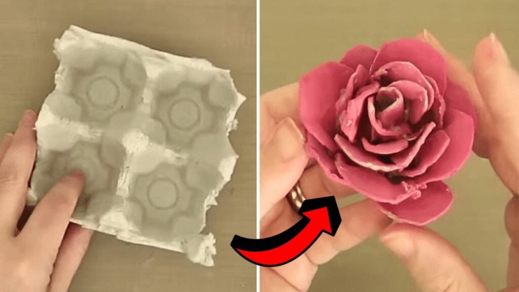 a DIY Egg Carton Rose, homemade and freshly served