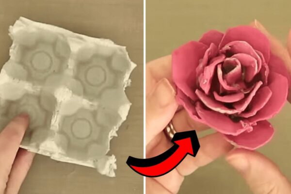 a DIY Egg Carton Rose, homemade and freshly served