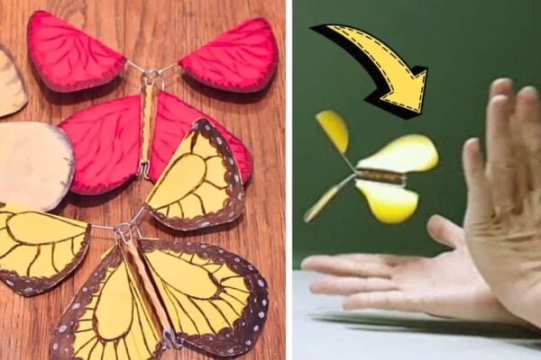 DIY Escaping Butterfly, homemade and freshly served