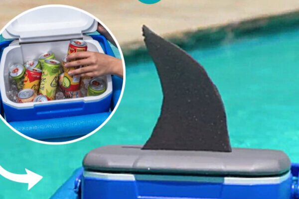 Finished Easy DIY Floating Shark Cooler, a completed DIY project