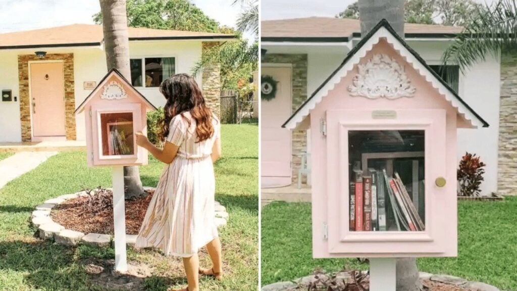Finished How to Build a Free Little Library, a completed DIY project