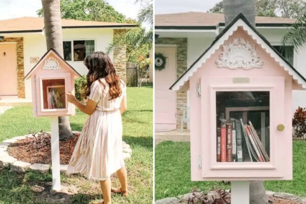 Finished How to Build a Free Little Library, a completed DIY project