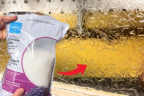 Finished Easy DIY Frosted Glass Windows, a completed DIY project