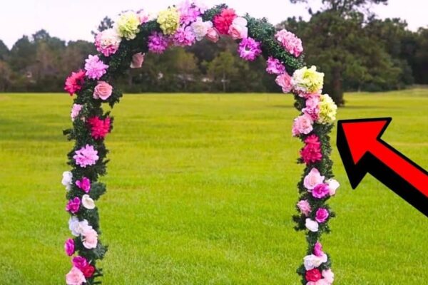 Finished Garden Arch On a Budget Using Dollar Tree Items, a completed DIY project