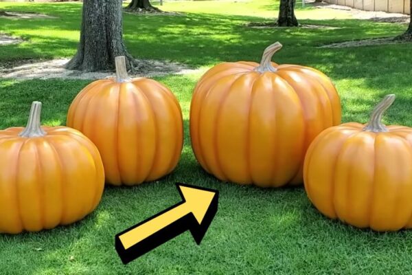 Finished Easy DIY Giant Foam Pumpkin, a completed DIY project