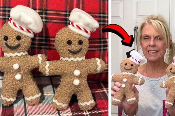 No-Sew DIY Gingerbread Man, homemade and freshly served