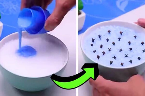 Finished Inexpensive Way to Get Rid of Bad Odor in Your House, a completed DIY project
