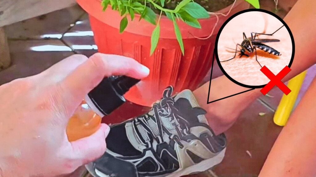 Finished How to Repel Insects Naturally, a completed DIY project