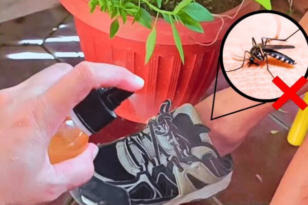 Finished How to Repel Insects Naturally, a completed DIY project