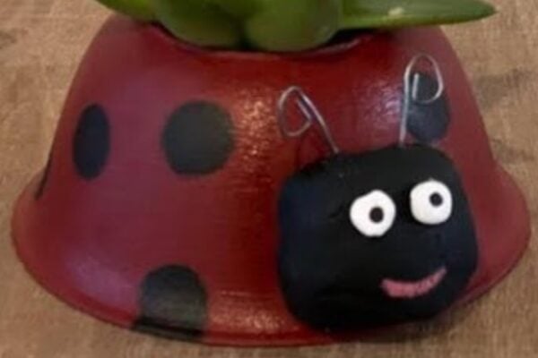Finished a Cute DIY Ladybug Planter, a completed DIY project