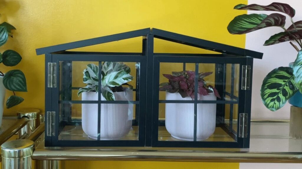 Finished a Mini Greenhouse Using Picture Frames, a completed DIY project