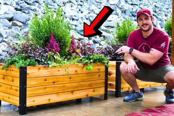 Finished How to Build a DIY Modern Raised Planter Box, a completed DIY project