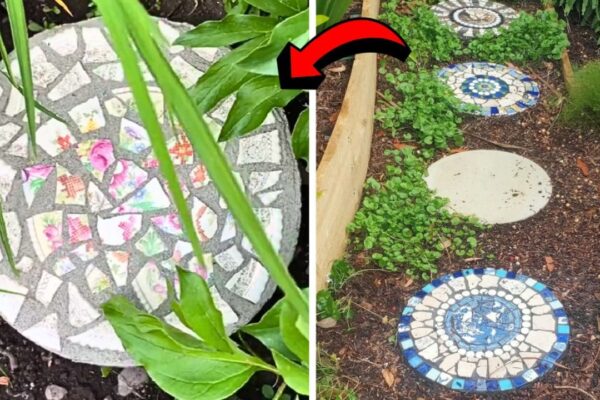 Finished a DIY Plate Yard Stepping Stone, a completed DIY project