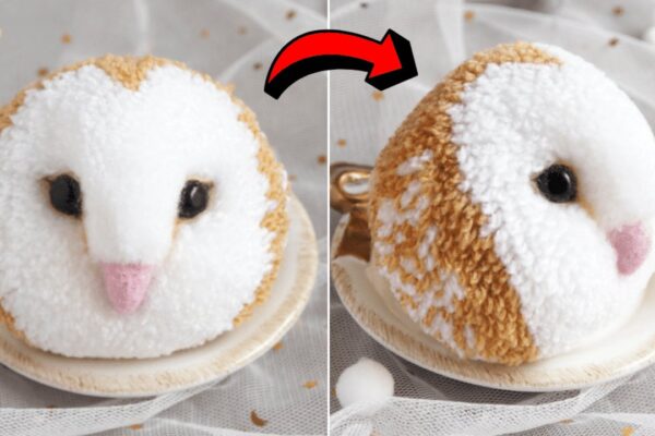 Finished a Pompom Barn Owl, a completed DIY project