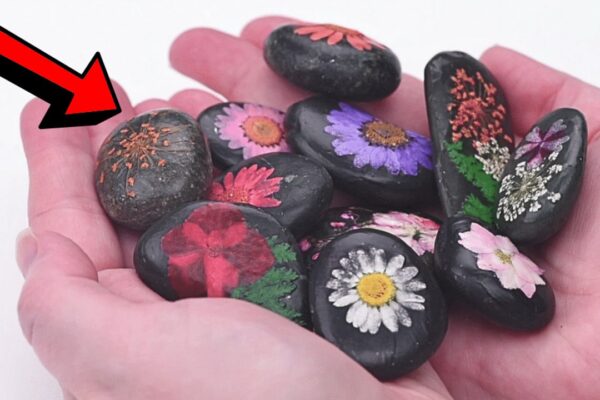 Finished Easy DIY Pressed Flower Rocks, a completed DIY project