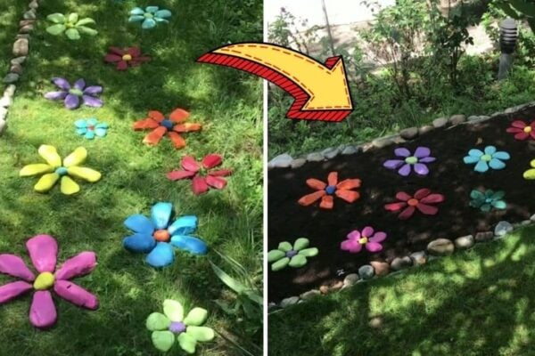 Finished Easy DIY Rock Flower Garden, a completed DIY project