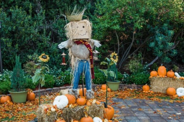 Finished Easy DIY Scarecrow Bird Feeder, a completed DIY project