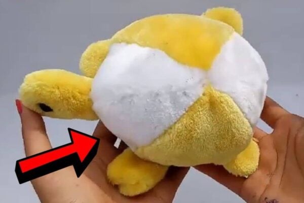 Finished a Soft Turtle Plushie, a completed DIY project