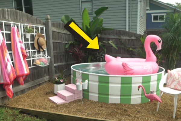 Finished How to Build a Stock Tank Pool, a completed DIY project