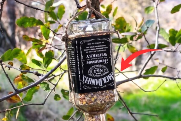 Finished DIY Upcycled Jack Daniel’s Bird Feeder, a completed DIY project