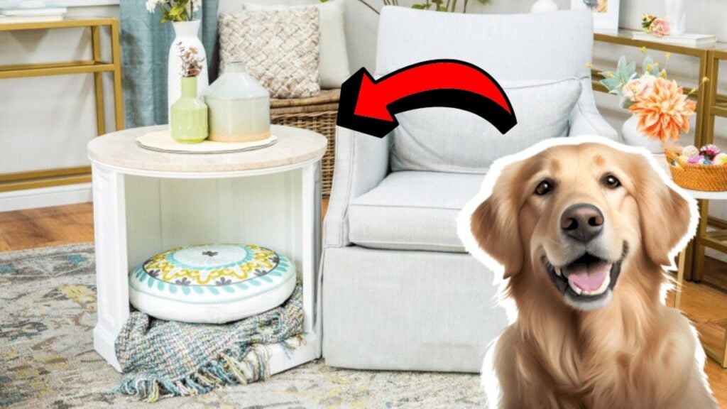 Finished Easy DIY Upcycled Table/Dog Bed, a completed DIY project